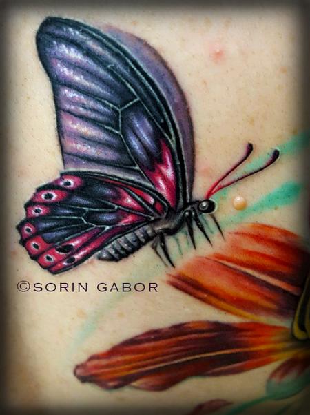 Sorin Gabor - Realistic color feminine butterfly tattoo 